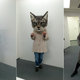 Illustration for article titled You Can Wear This Freaky Cat Head in Tokyo